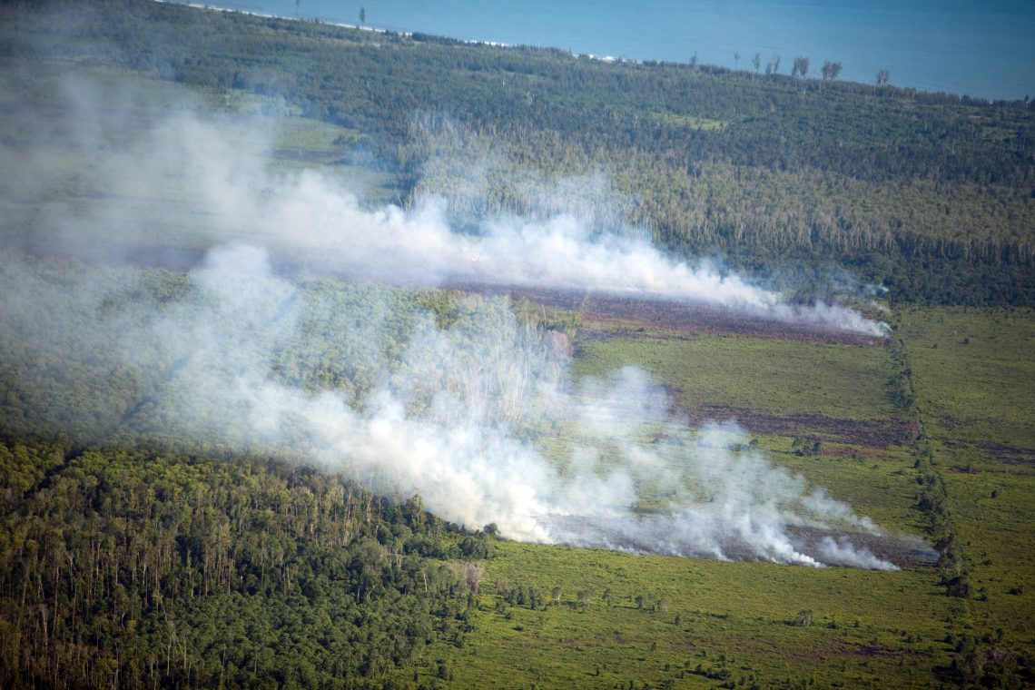 Fires burn after clear cutting virgin rainforests to plant oil palm trees in Tripa, Indonesia. 