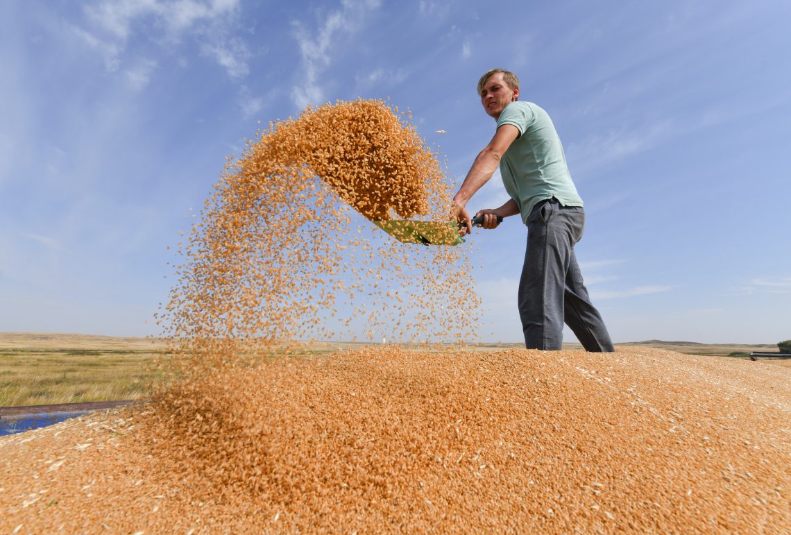 Farmer in Russia